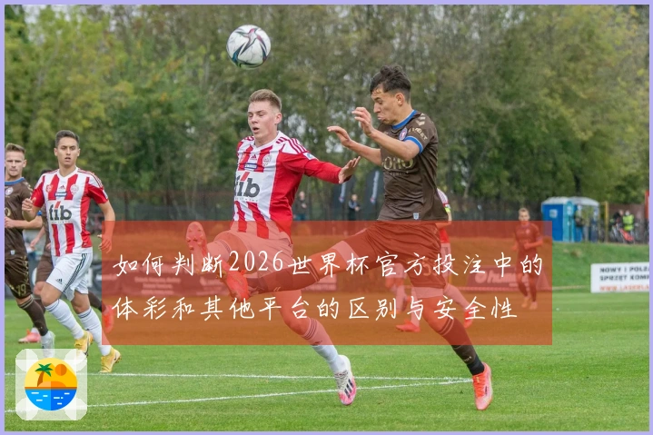 如何判断2026世界杯官方投注中的体彩和其他平台的区别与安全性