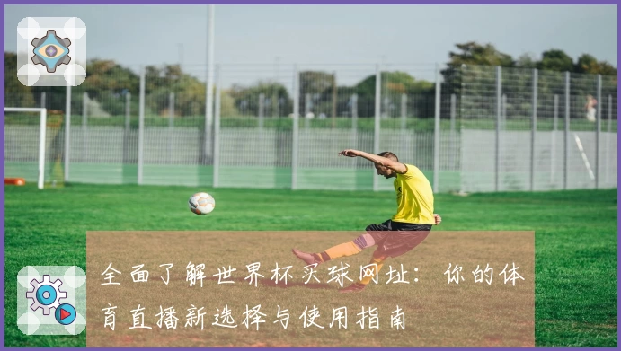 全面了解世界杯买球网址：你的体育直播新选择与使用指南