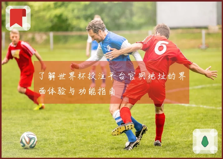 了解世界杯投注平台官网地址的界面体验与功能指南