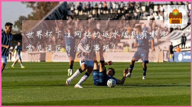 世界杯下注网站的返水规则有哪些常见误区与注意事项？