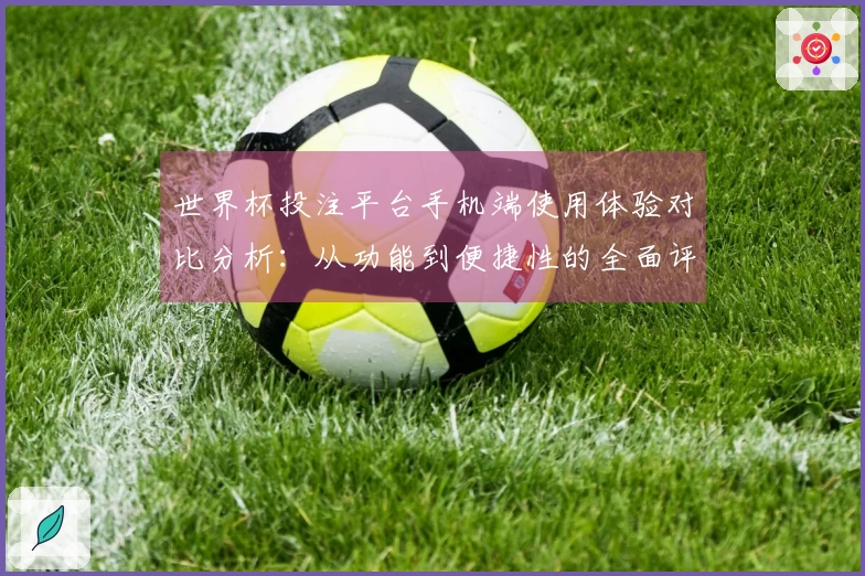 世界杯投注平台手机端使用体验对比分析：从功能到便捷性的全面评测
