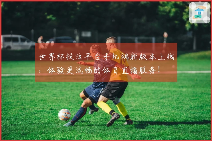 世界杯投注平台手机端新版本上线，体验更流畅的体育直播服务！