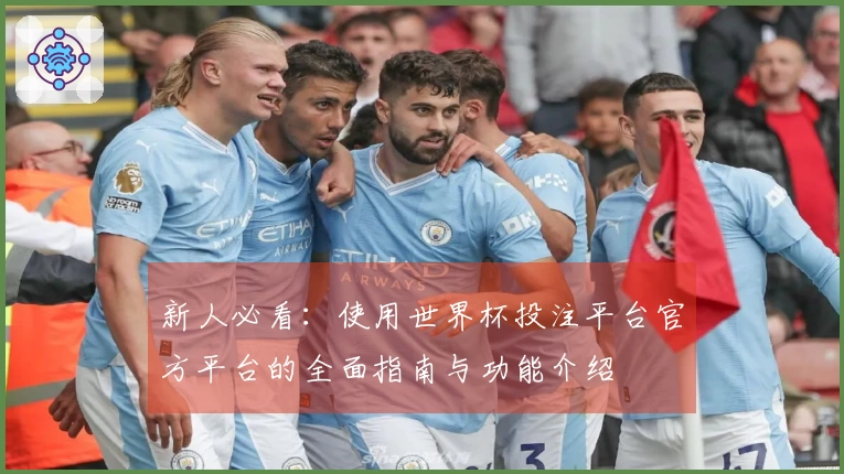 新人必看：使用世界杯投注平台官方平台的全面指南与功能介绍