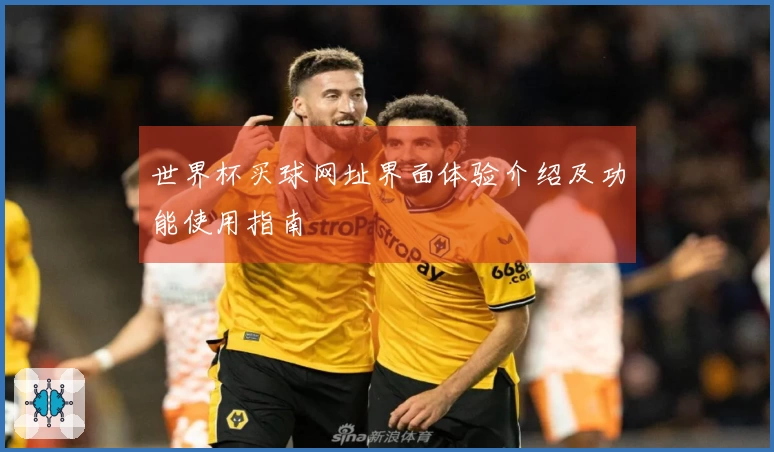 世界杯买球网址界面体验介绍及功能使用指南
