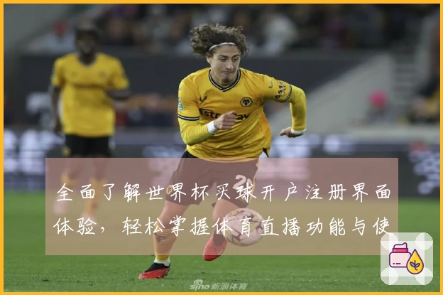 全面了解世界杯买球开户注册界面体验，轻松掌握体育直播功能与使用技巧