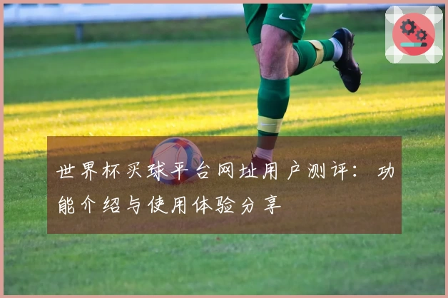 世界杯买球平台网址用户测评：功能介绍与使用体验分享