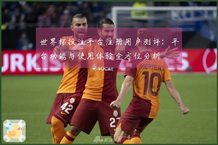 世界杯投注平台注册用户测评：平台功能与使用体验全方位分析