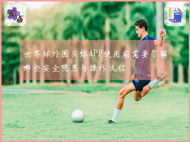 世界杯外围买球APP使用前需要了解哪些安全隐患与操作流程