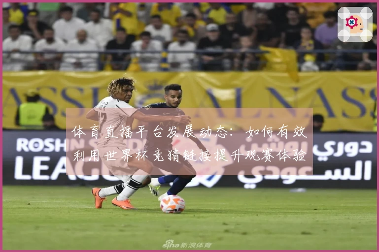 体育直播平台发展动态：如何有效利用世界杯竞猜链接提升观赛体验
