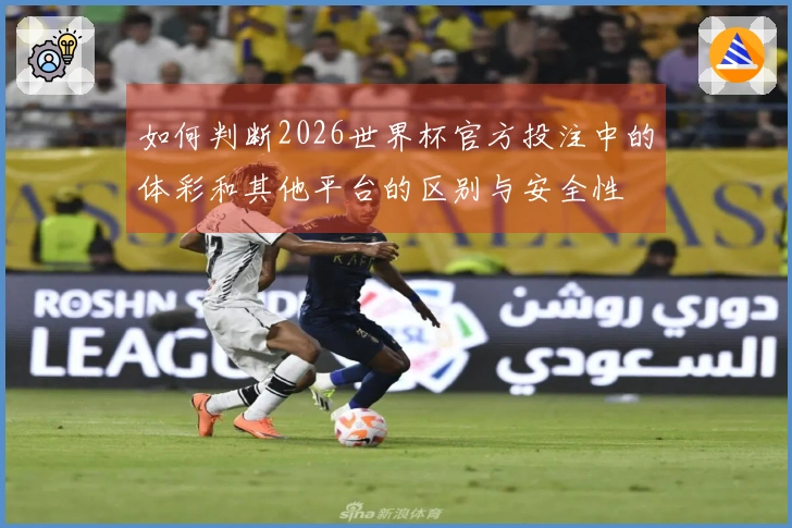 如何判断2026世界杯官方投注中的体彩和其他平台的区别与安全性