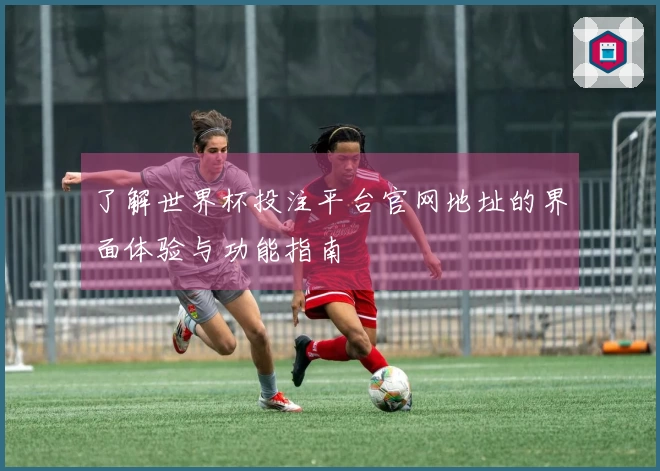 了解世界杯投注平台官网地址的界面体验与功能指南