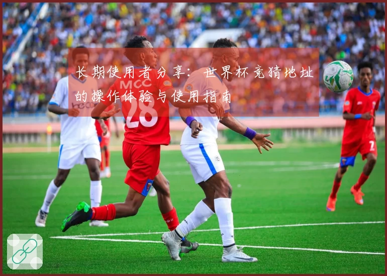 长期使用者分享：世界杯竞猜地址的操作体验与使用指南